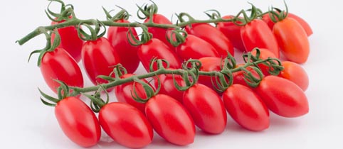 Cherry lobello