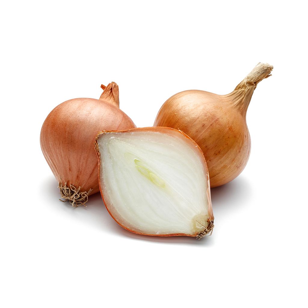 Cebolla francesa
