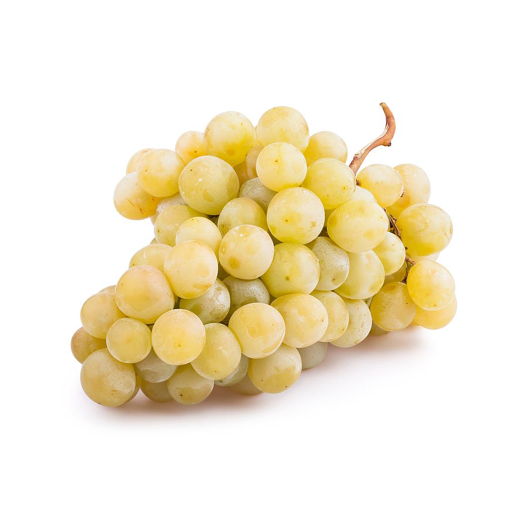 Uva moscatel