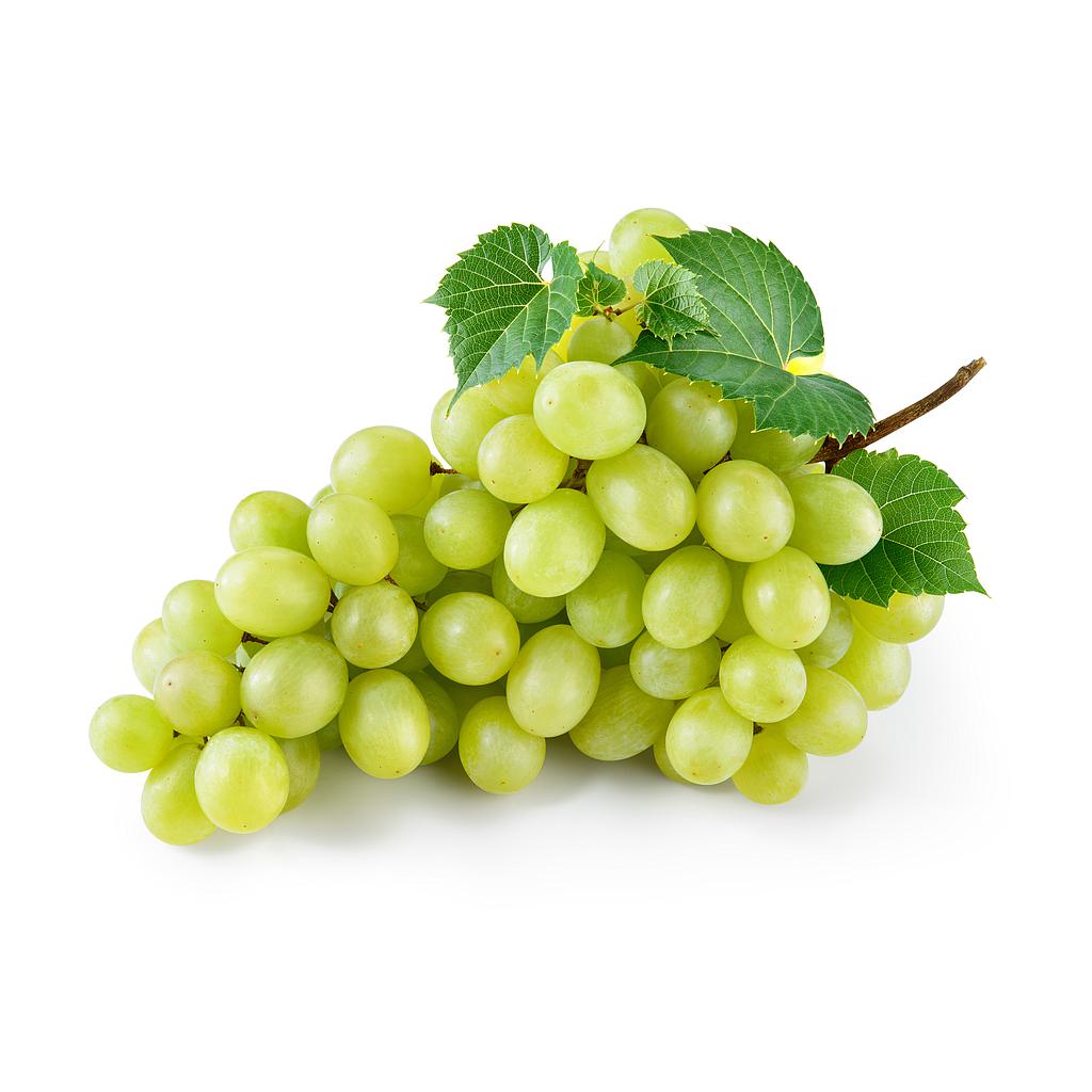 Uvas blanca sin pepita