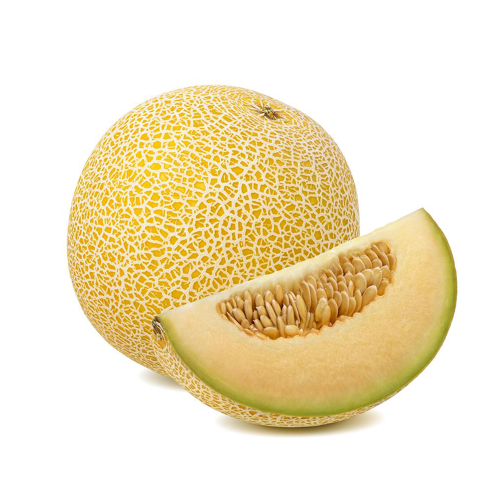 Melon galia