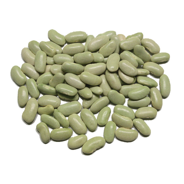 Alubia verdina