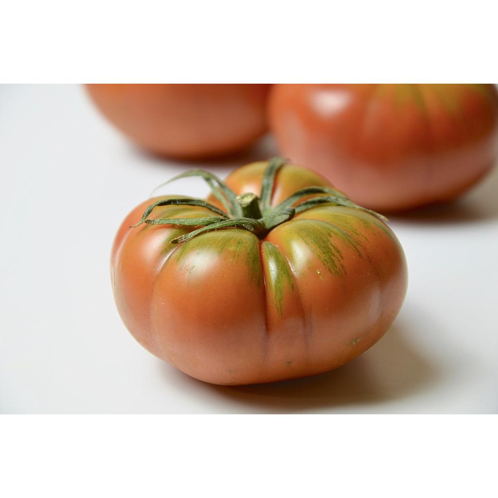 Tomate Golden Raf Ambrosia/Delicias
