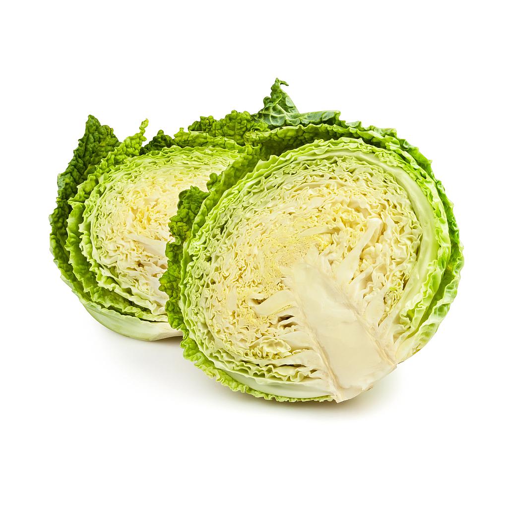 Repollo