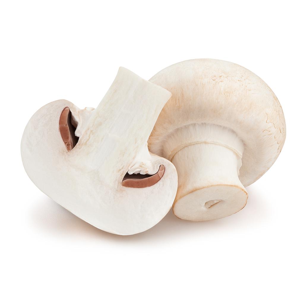 Champiñon