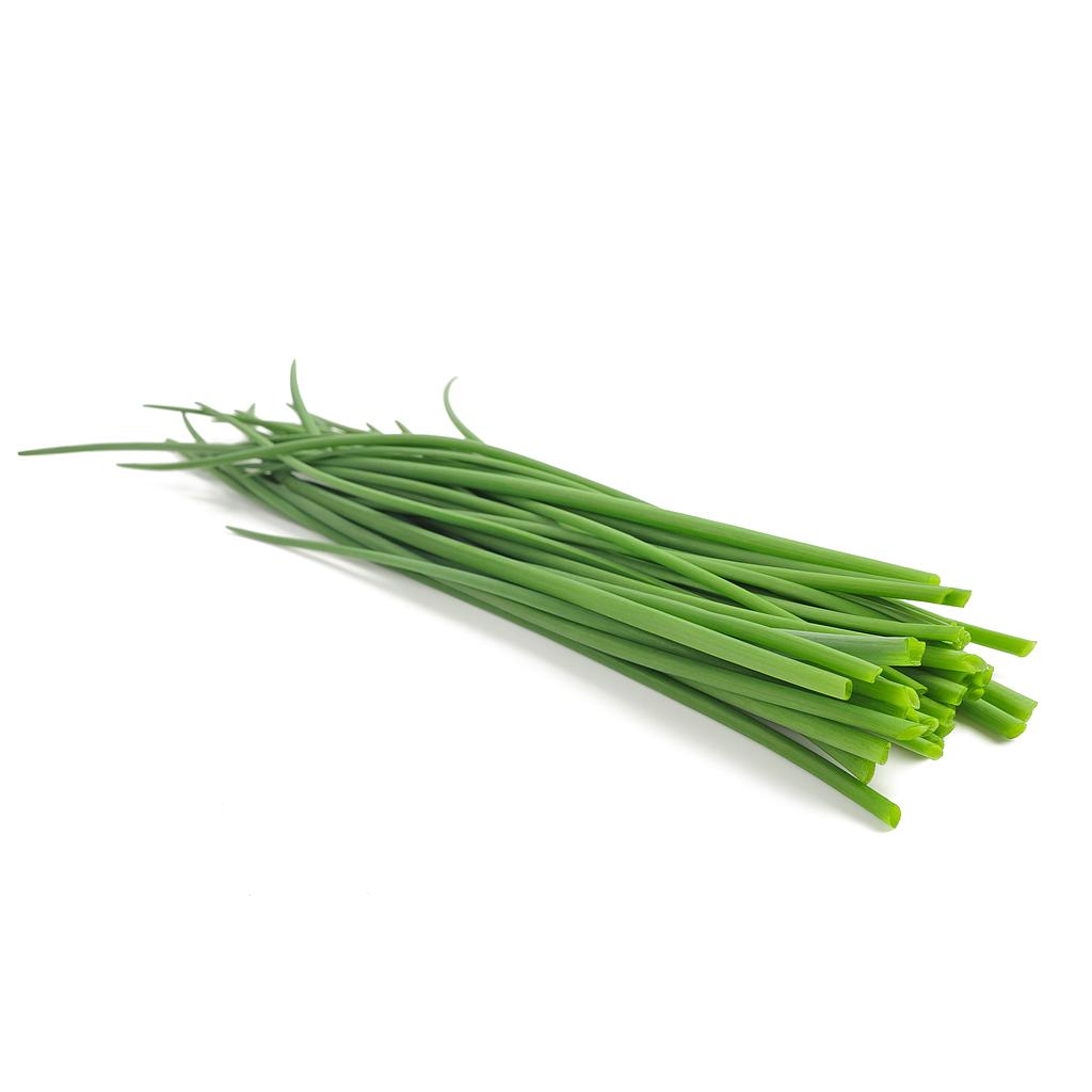 Cebollino