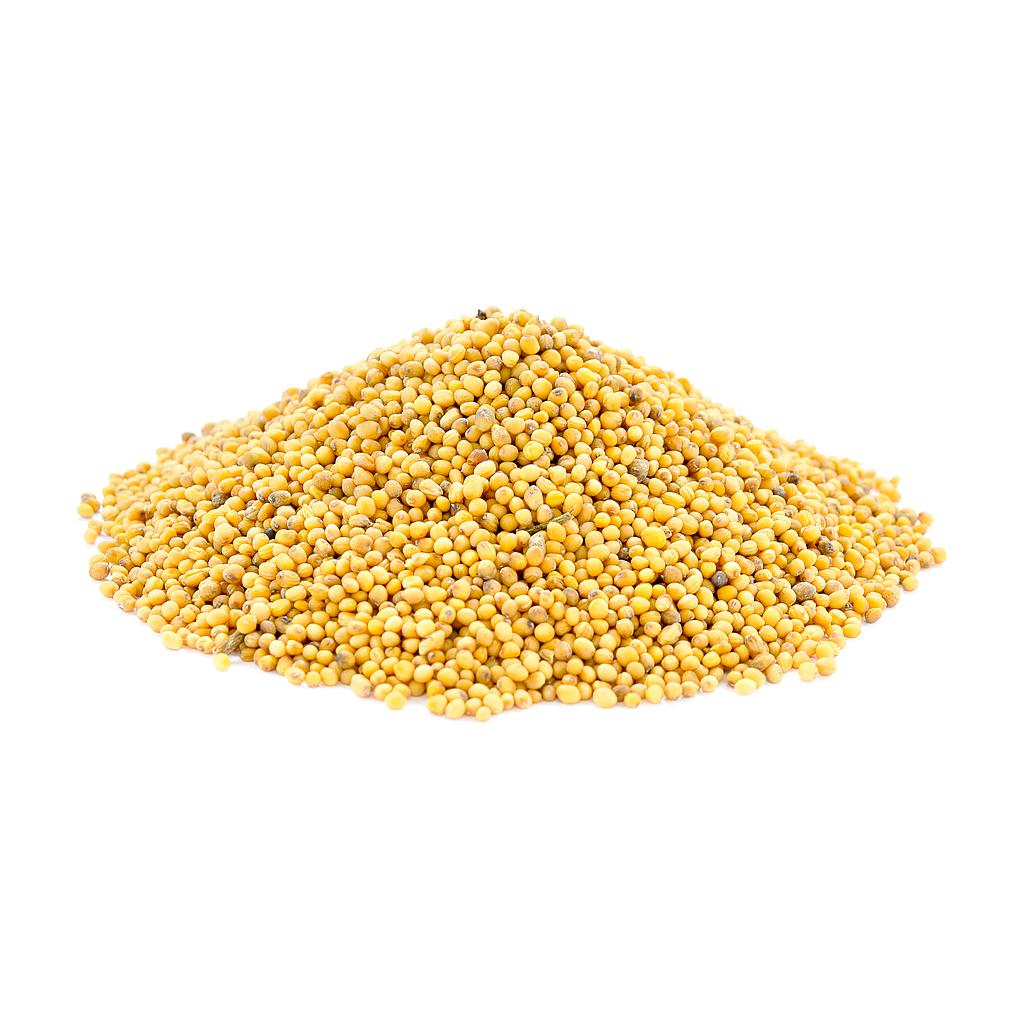 Semilla de quinoa