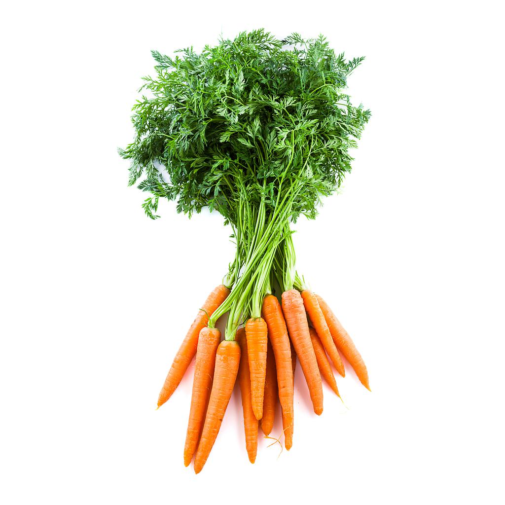 Manojo de Zanahorias